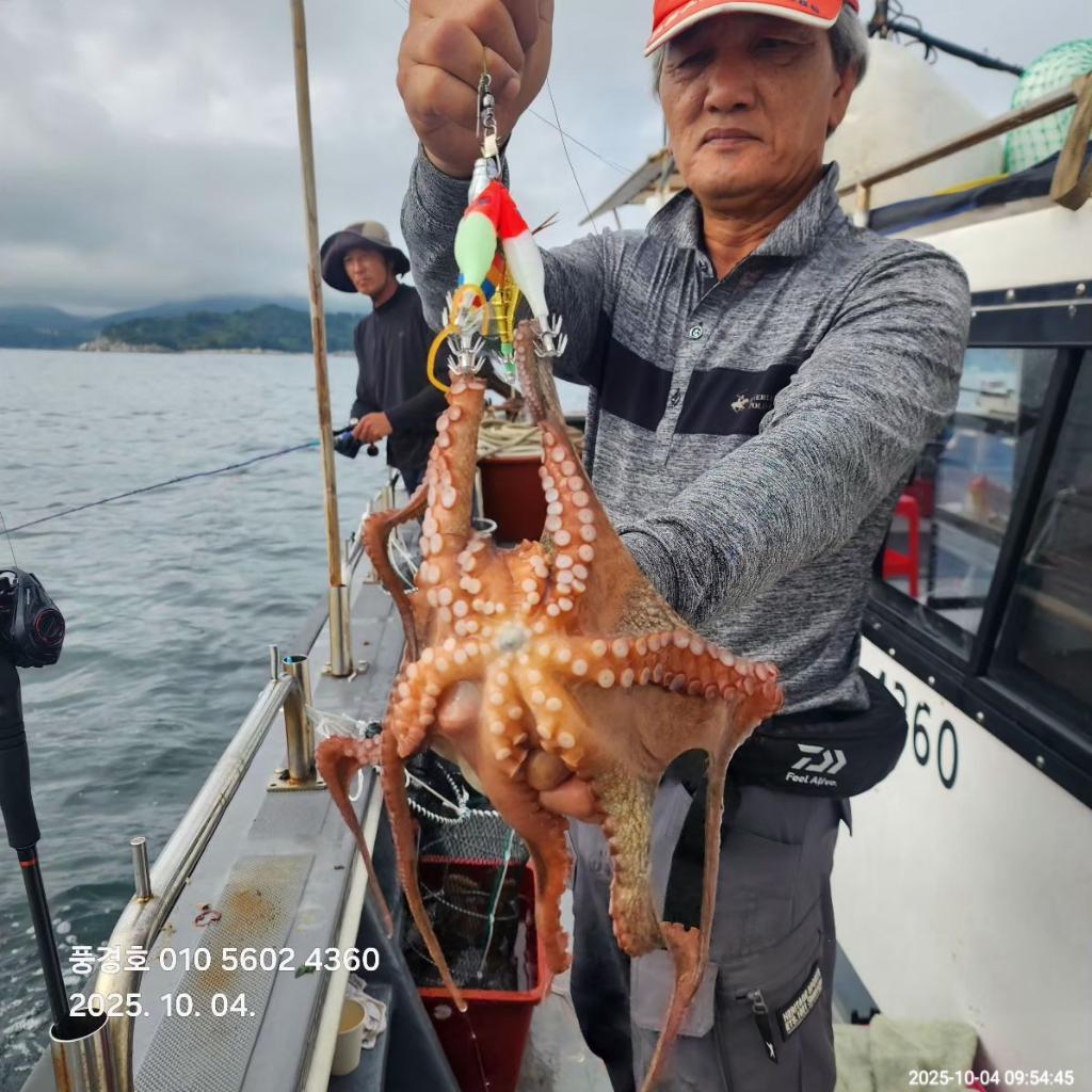 낚시뚜,,진해 안골항,풍경호,낚시뚜5