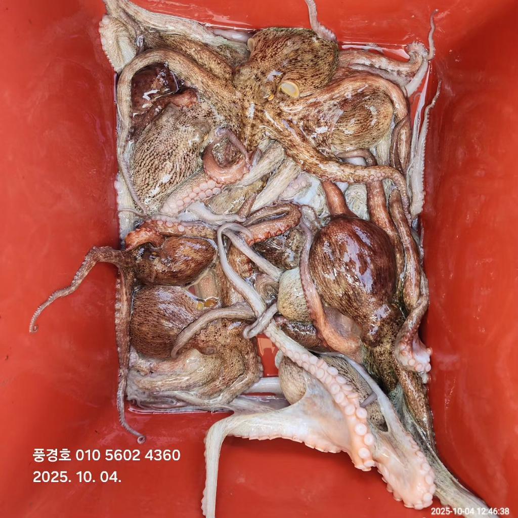 낚시뚜,,진해 안골항,풍경호,낚시뚜2