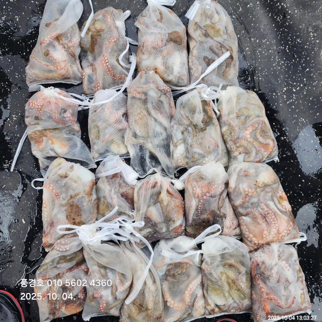 낚시뚜,,진해 안골항,풍경호,낚시뚜1