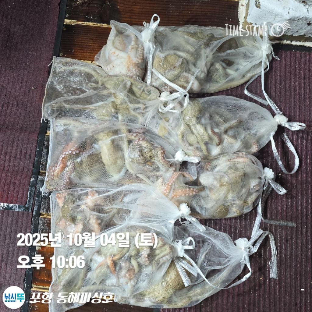 F2791519WX.jpg
