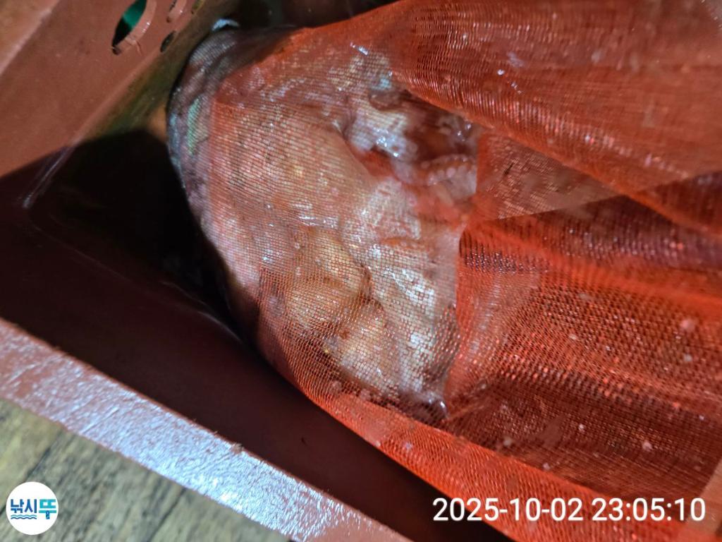 F2791571FW.jpg
