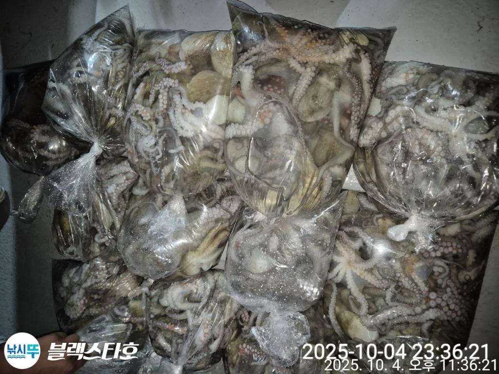 F2791789IB.jpg