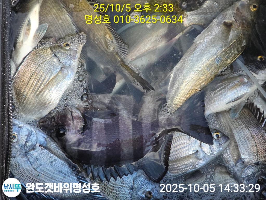 F2792218YC.jpg