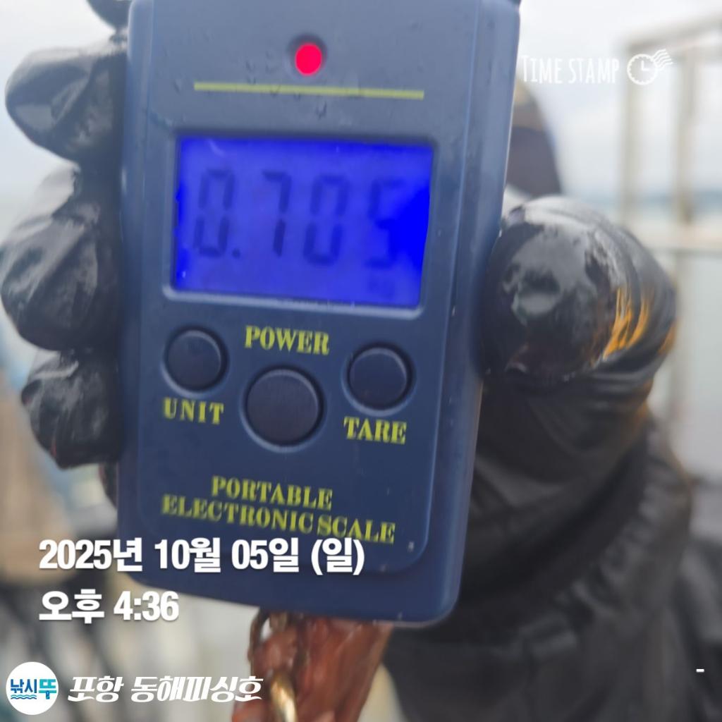 F2792332V8.jpg