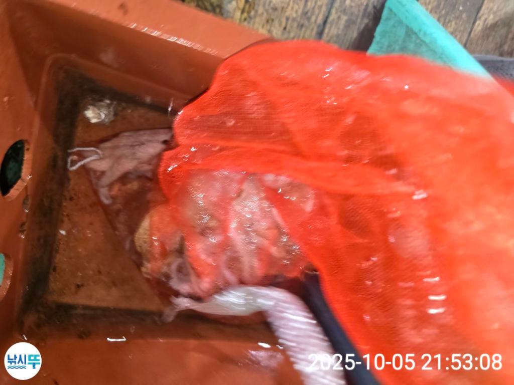 F2792345OO.jpg