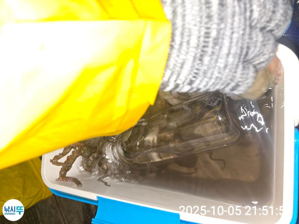 F2792357XA.jpg