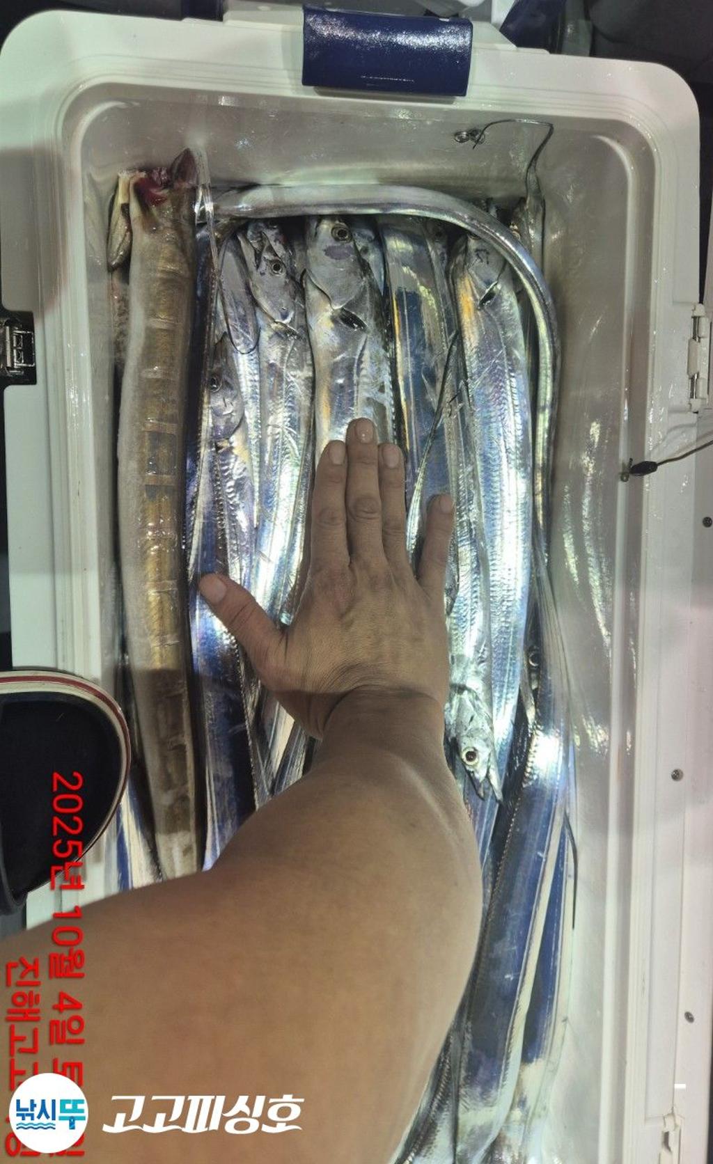 낚시뚜,,속천항(진해),고고피싱호,낚시뚜4