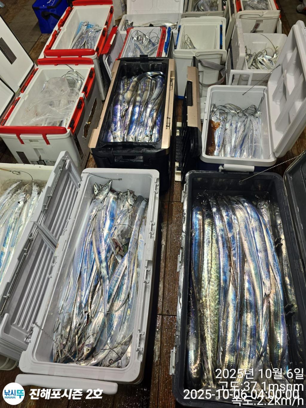 낚시뚜,갈치,진해행암항,진해포시즌 2호,낚시뚜13