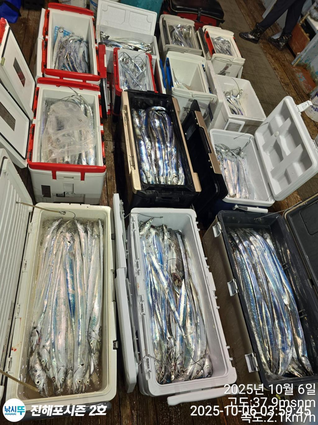 낚시뚜,갈치,진해행암항,진해포시즌 2호,낚시뚜12