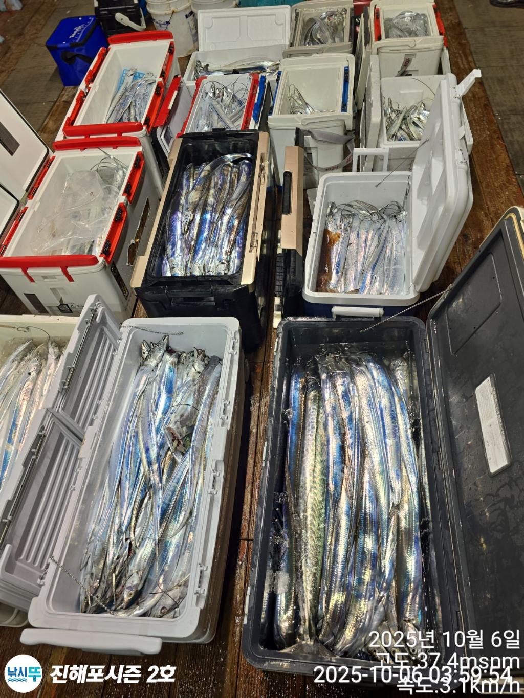 낚시뚜,갈치,진해행암항,진해포시즌 2호,낚시뚜10