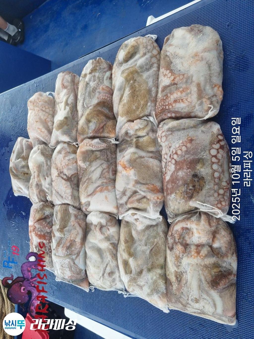 F27925323M.jpg