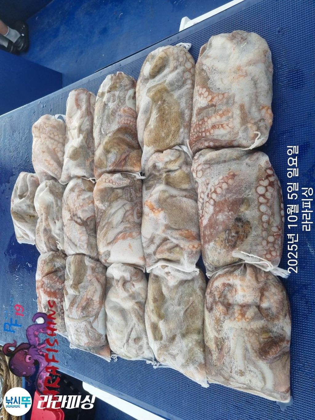 F2792533ML.jpg