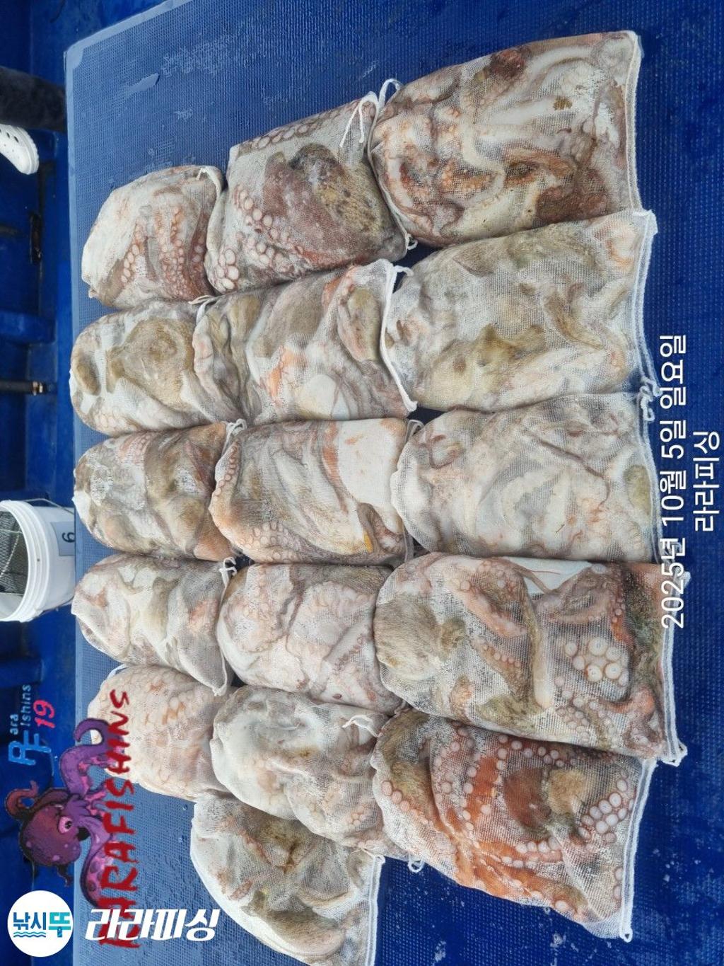 F2792537R6.jpg