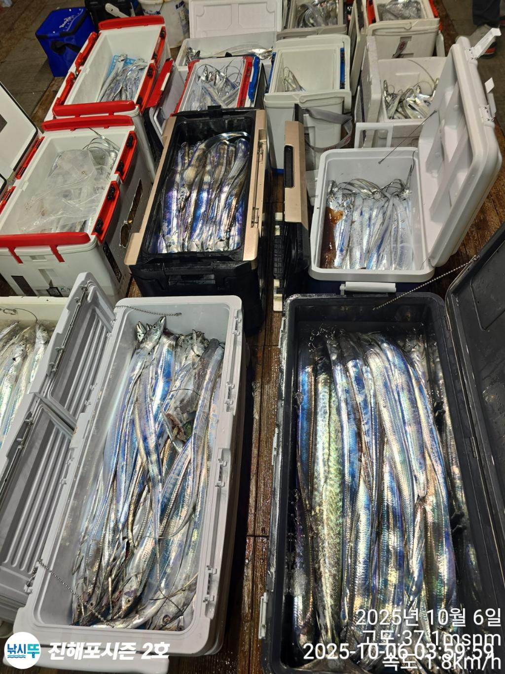 낚시뚜,갈치,진해행암항,진해포시즌 2호,낚시뚜17