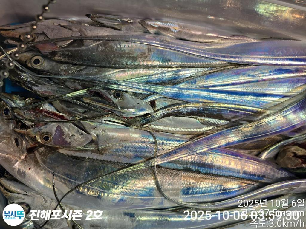 낚시뚜,갈치,진해행암항,진해포시즌 2호,낚시뚜10