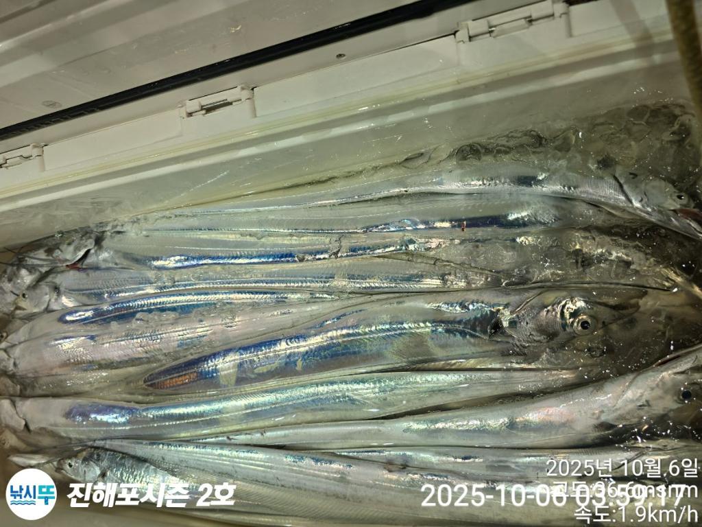 낚시뚜,갈치,진해행암항,진해포시즌 2호,낚시뚜7