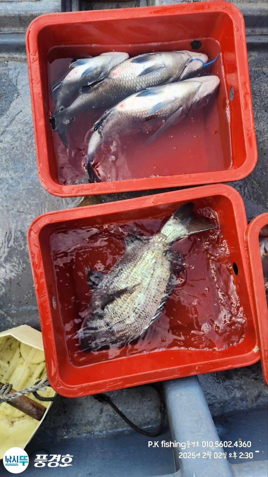 F2792729LQ.jpg