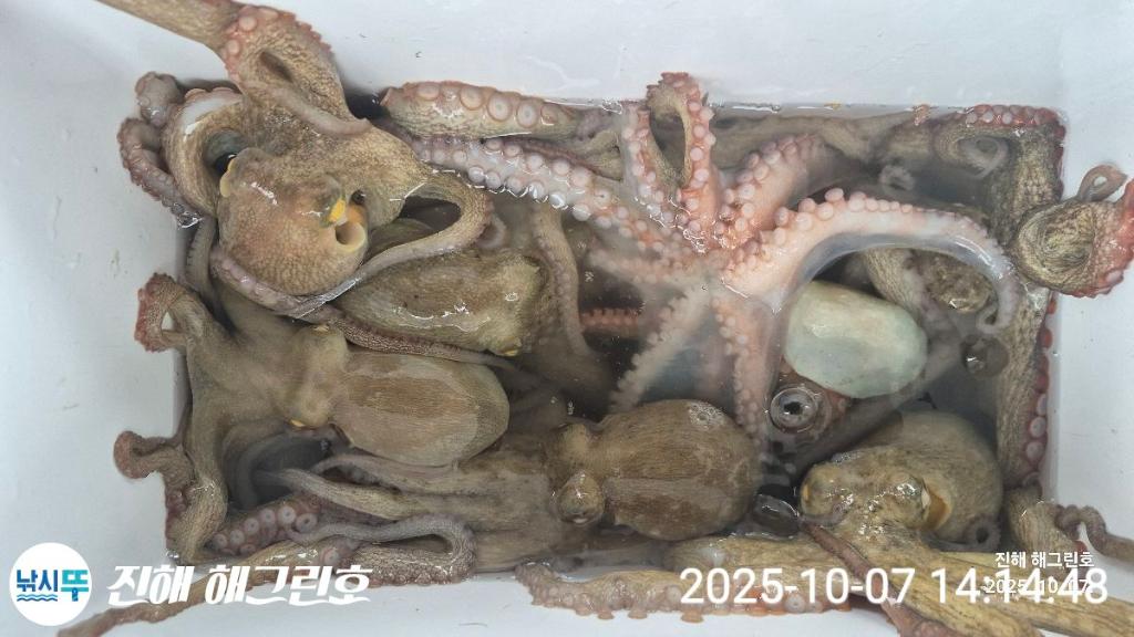 F2792845BN.jpg