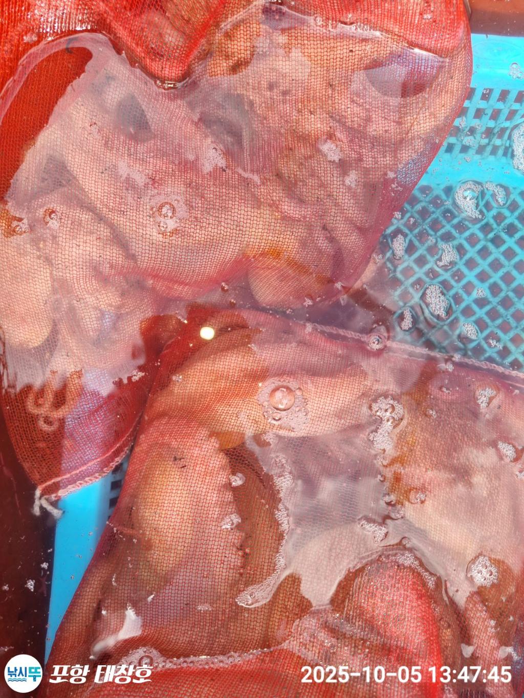 F2792875FP.jpg