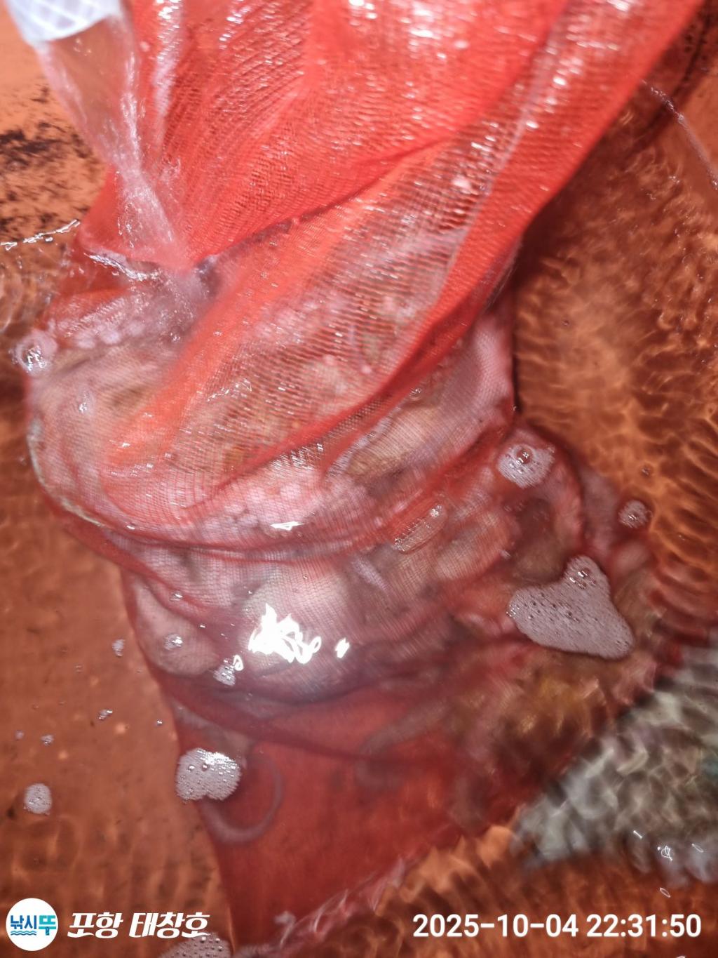F2792884GE.jpg