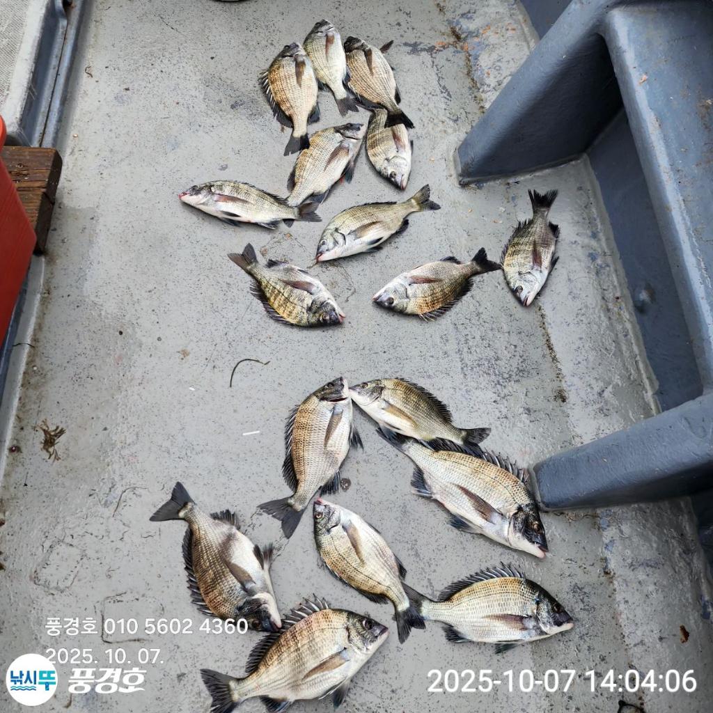 낚시뚜,,진해 안골항,풍경호,낚시뚜2