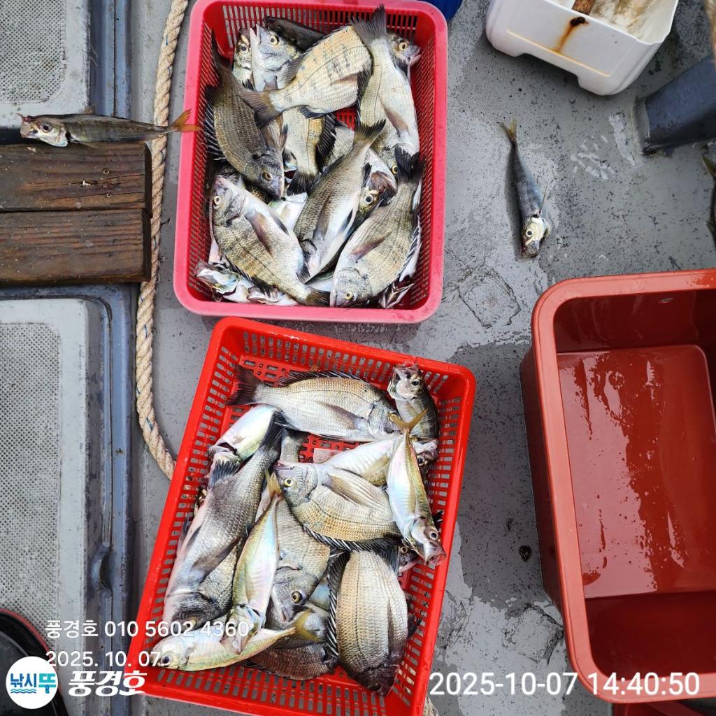 낚시뚜,,진해 안골항,풍경호,낚시뚜1