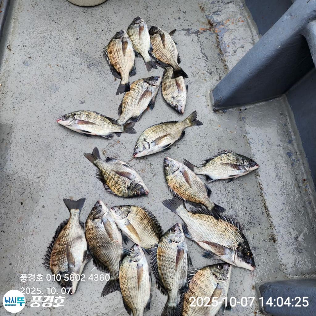 낚시뚜,,진해 안골항,풍경호,낚시뚜0