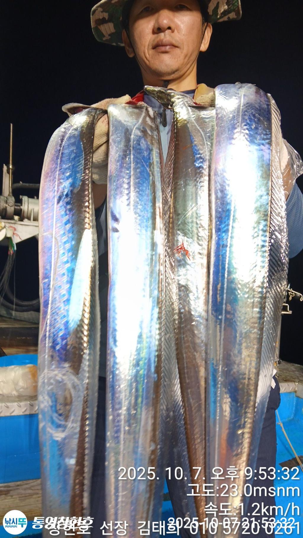 낚시뚜,갈치,통영연명항,통영창현호,낚시뚜14