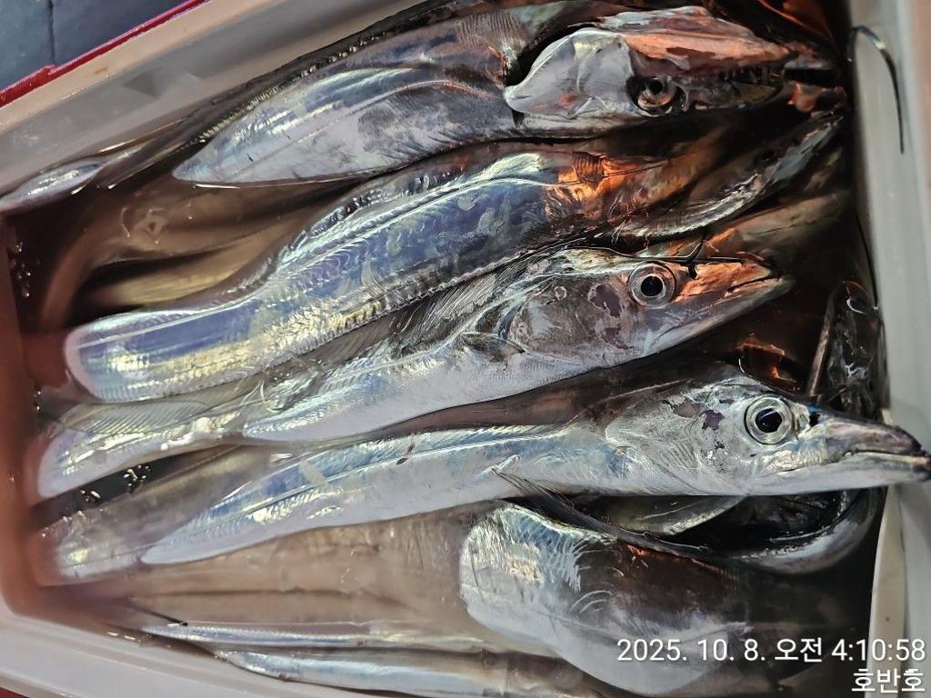 F2793015GN.jpg
