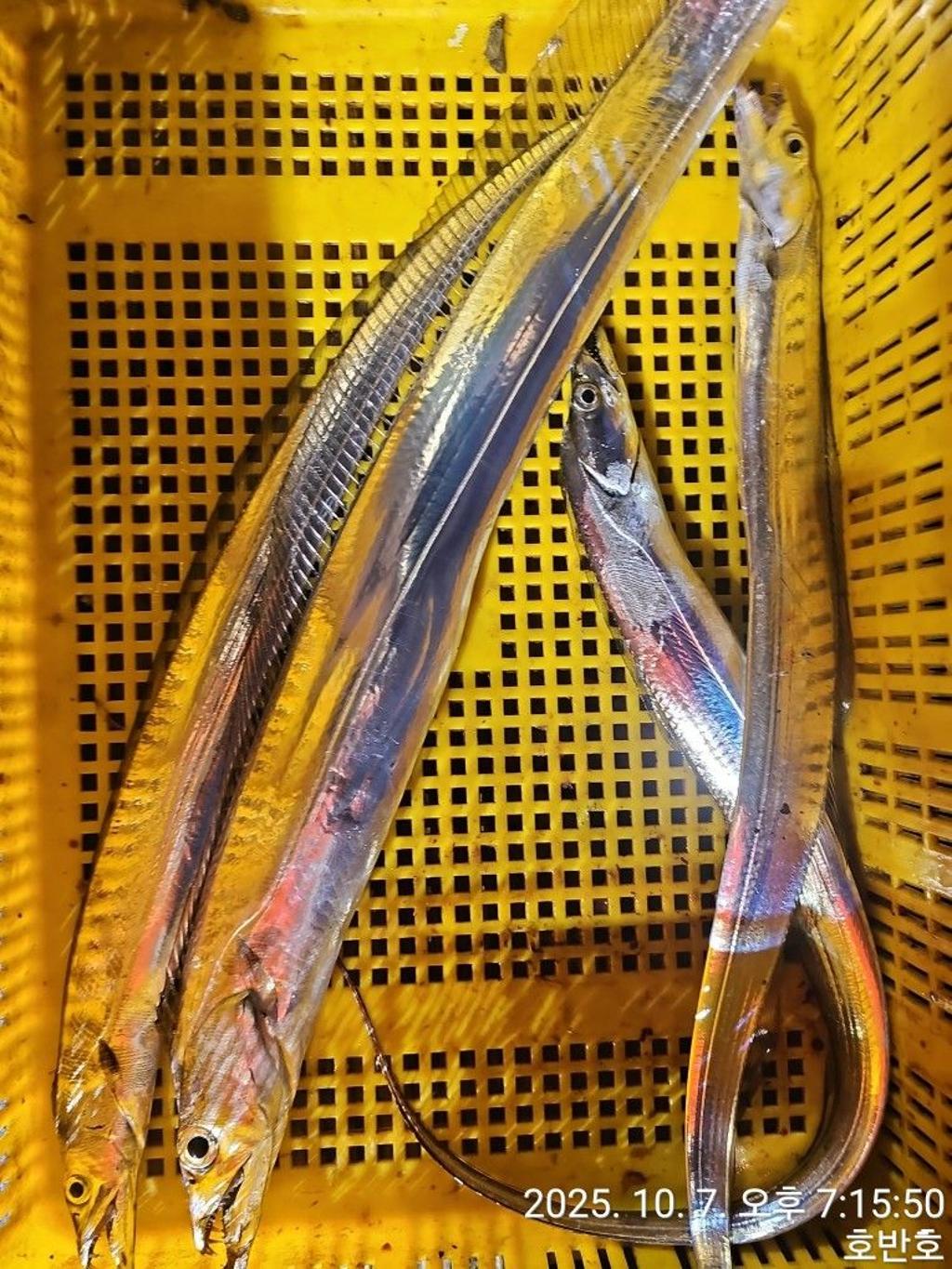 F2793023YA.jpg