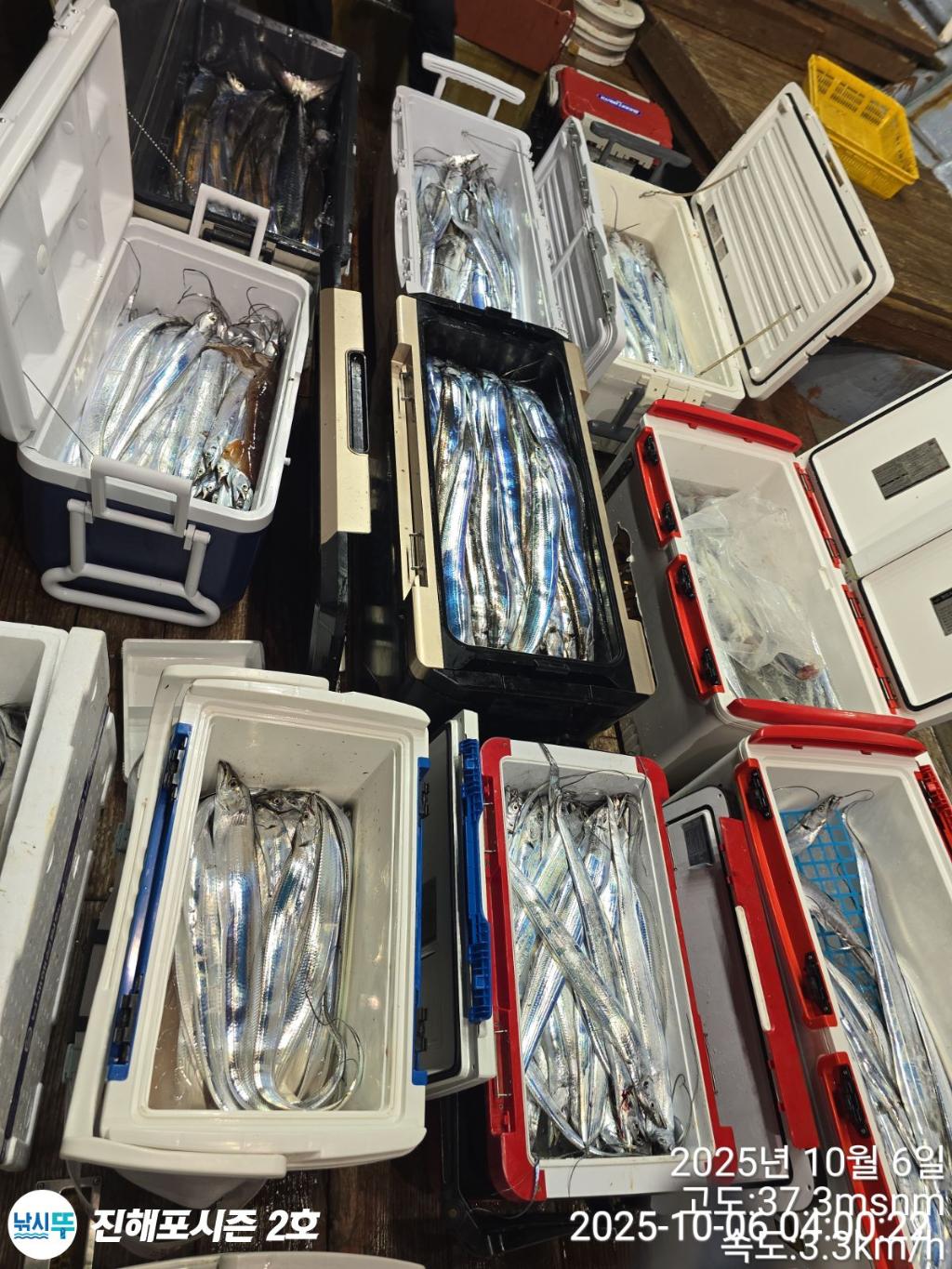 낚시뚜,갈치,진해행암항,진해포시즌 2호,낚시뚜14