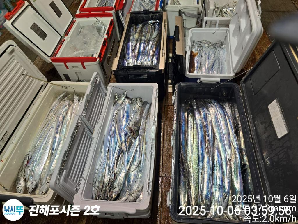 낚시뚜,갈치,진해행암항,진해포시즌 2호,낚시뚜9