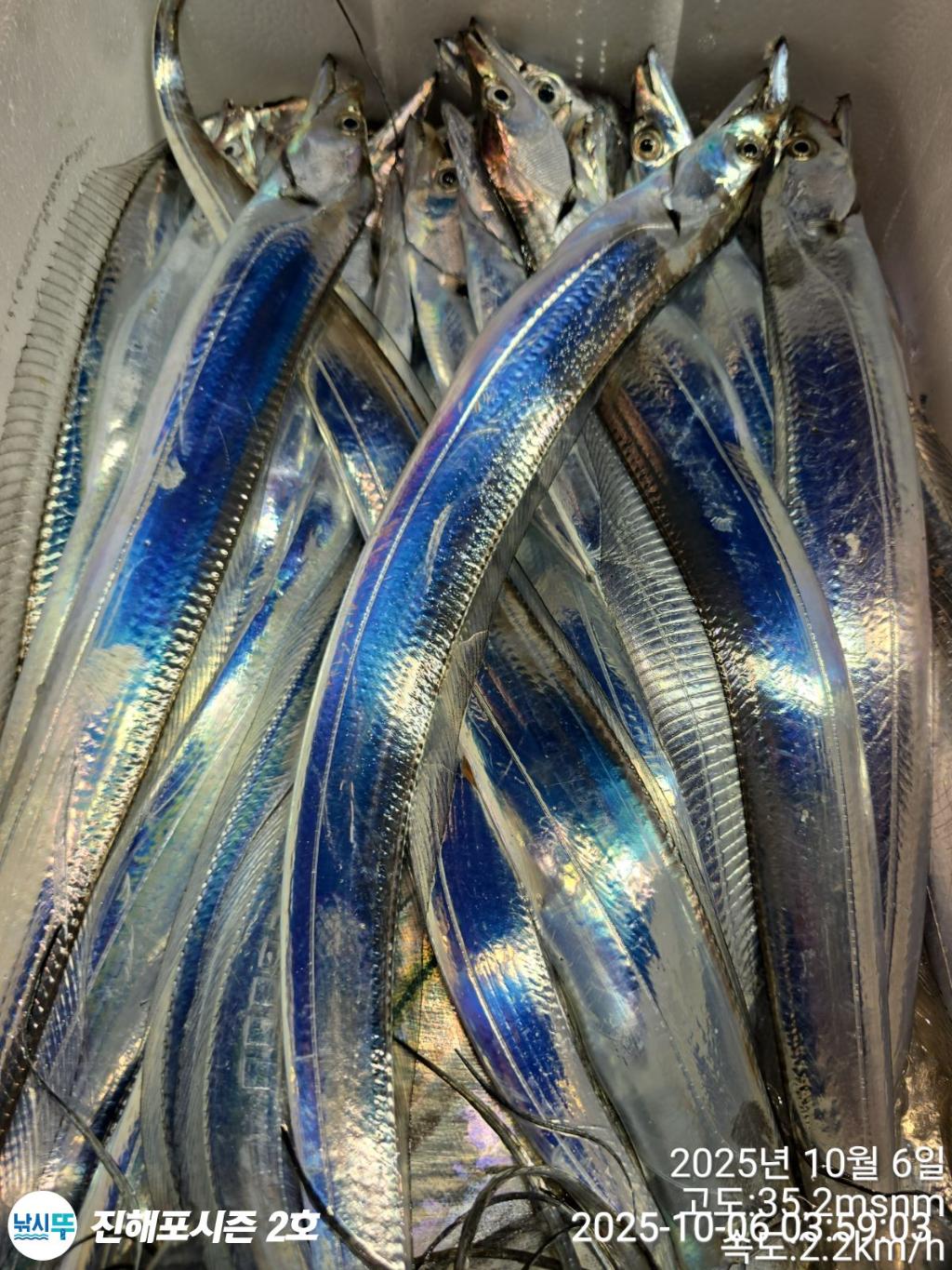 낚시뚜,갈치,진해행암항,진해포시즌 2호,낚시뚜5