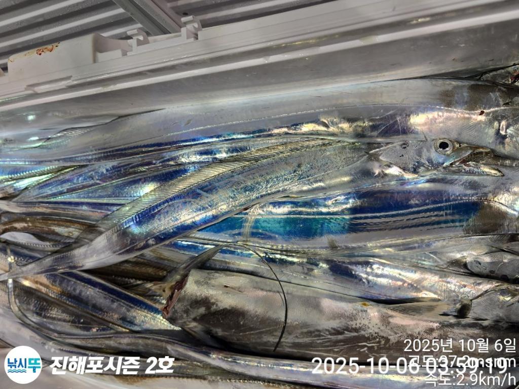 낚시뚜,갈치,진해행암항,진해포시즌 2호,낚시뚜4