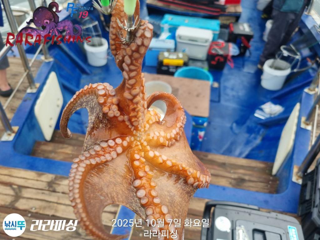 F2793175Y0.jpg