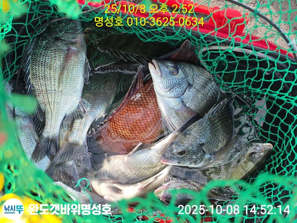 F2793213KG.jpg