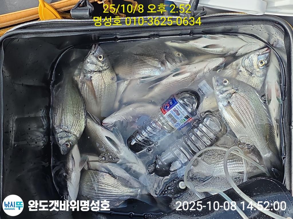 F2793214LA.jpg