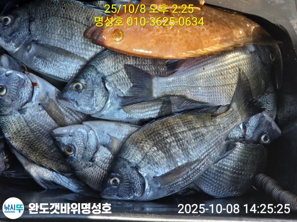 F2793217Y0.jpg