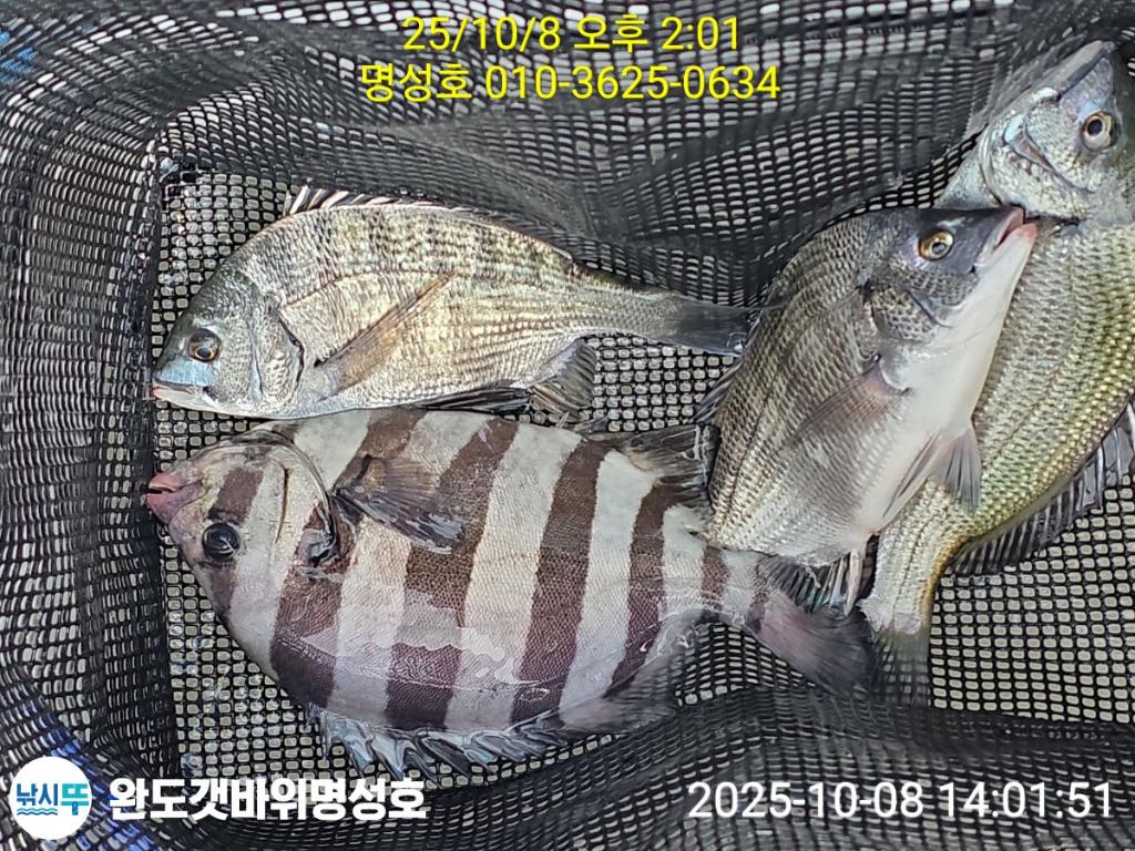 F27932212B.jpg
