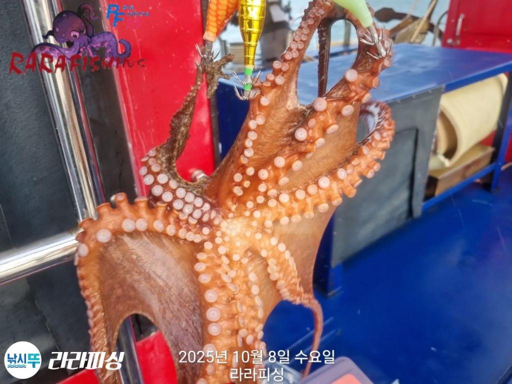 F2793276AS.jpg