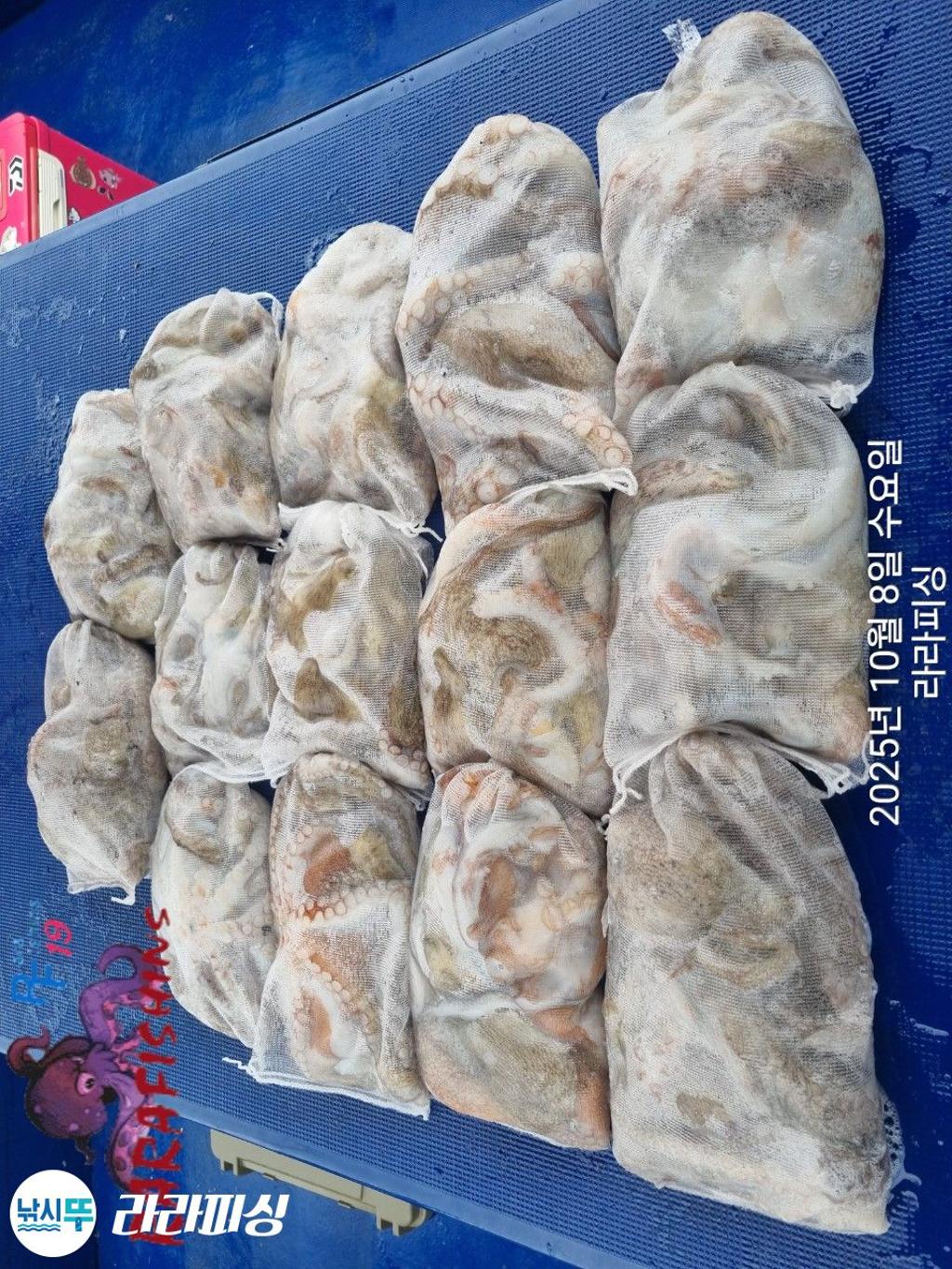 F2793278HK.jpg