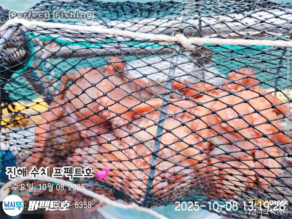 F2793340PT.jpg