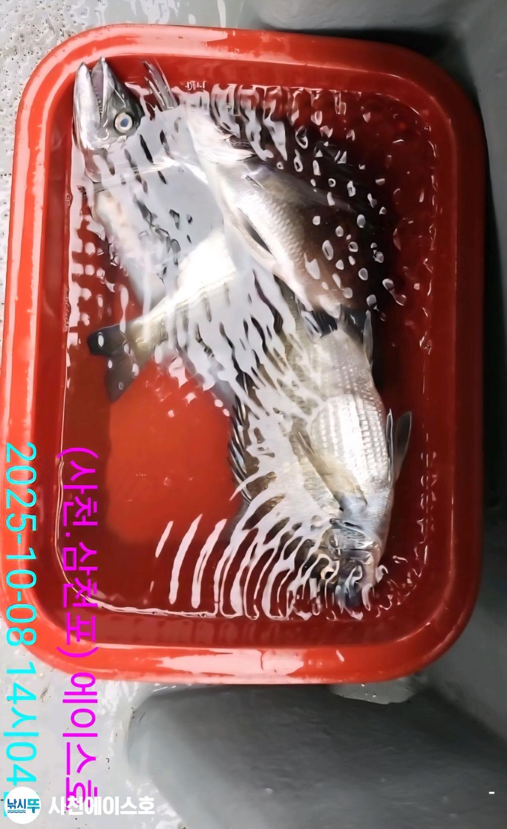 F2793638WW.jpg
