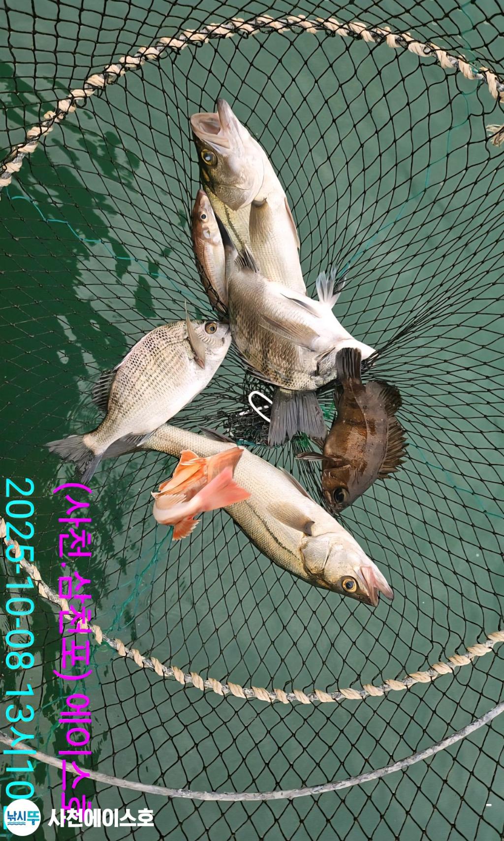 F27936399G.jpg