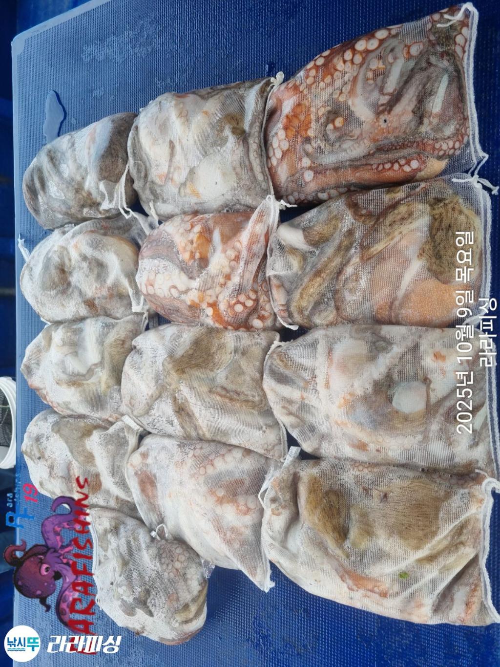 F27937282A.jpg