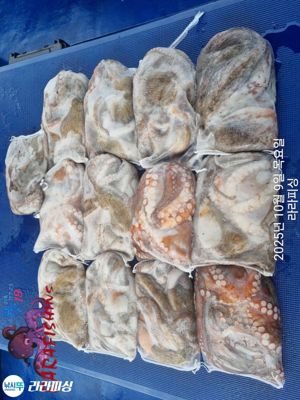 F2793732OU.jpg