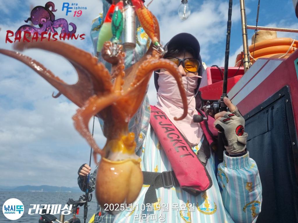 F2793795AO.jpg