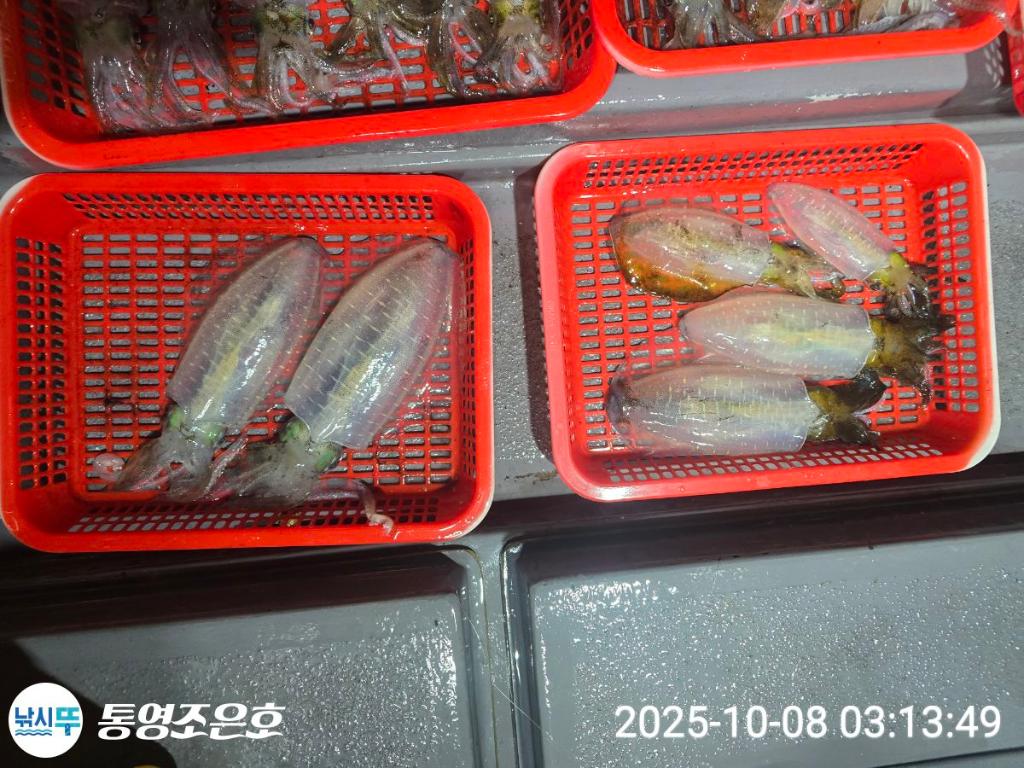 F2793939HI.jpg