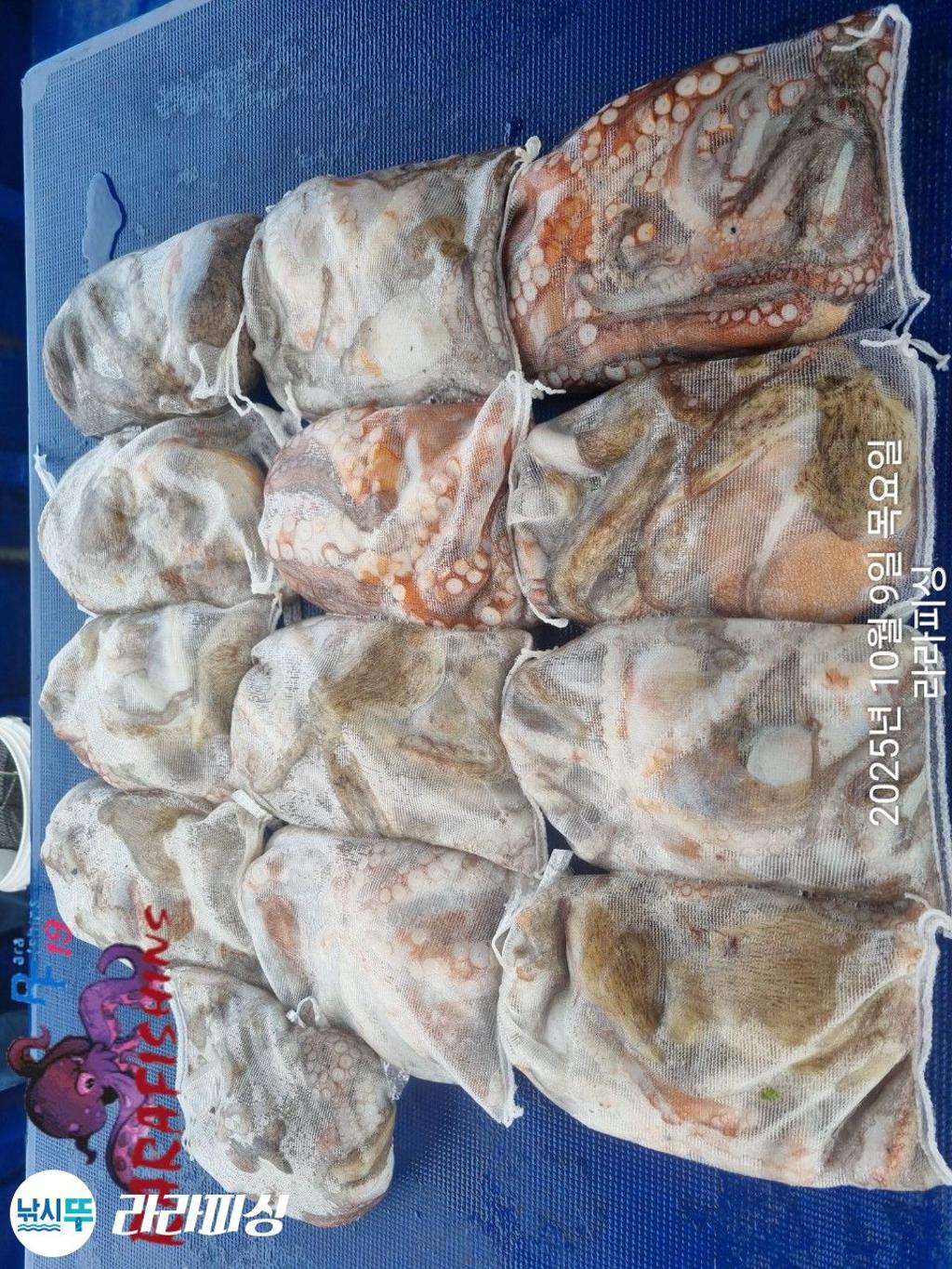 F2794067HS.jpg