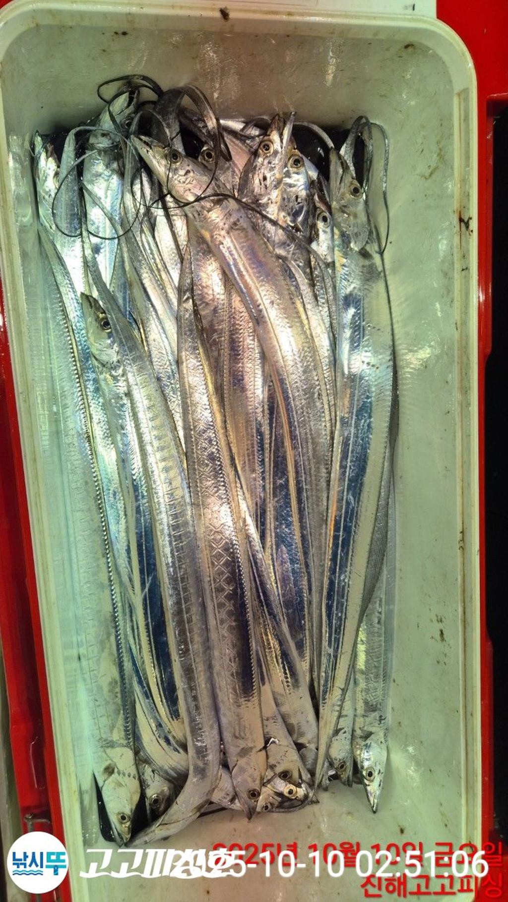 F279393179.jpg